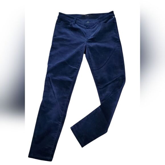 Joe's Velvet Jewel Blue Pants - Picture 1 of 6
